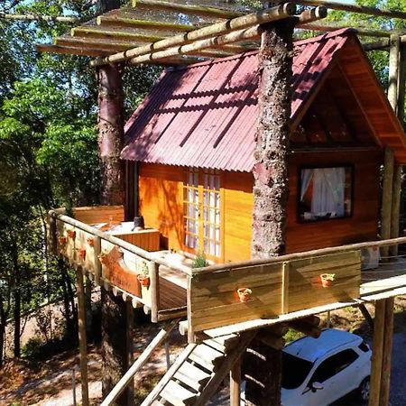 Casa Na Arvore Com Hidro, Piscina, Trilha, Cavalo Bento Gonçalves Exterior foto