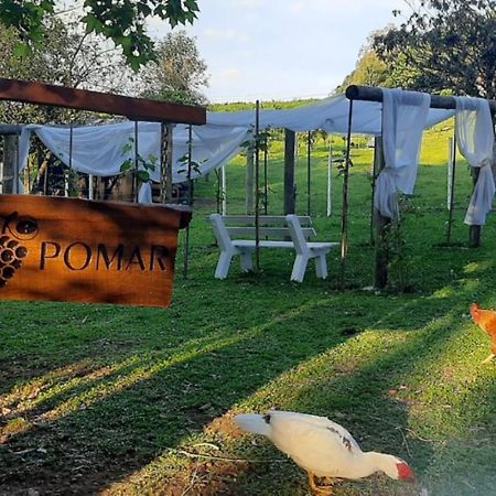 Casa Na Arvore Com Hidro, Piscina, Trilha, Cavalo Bento Gonçalves Exterior foto