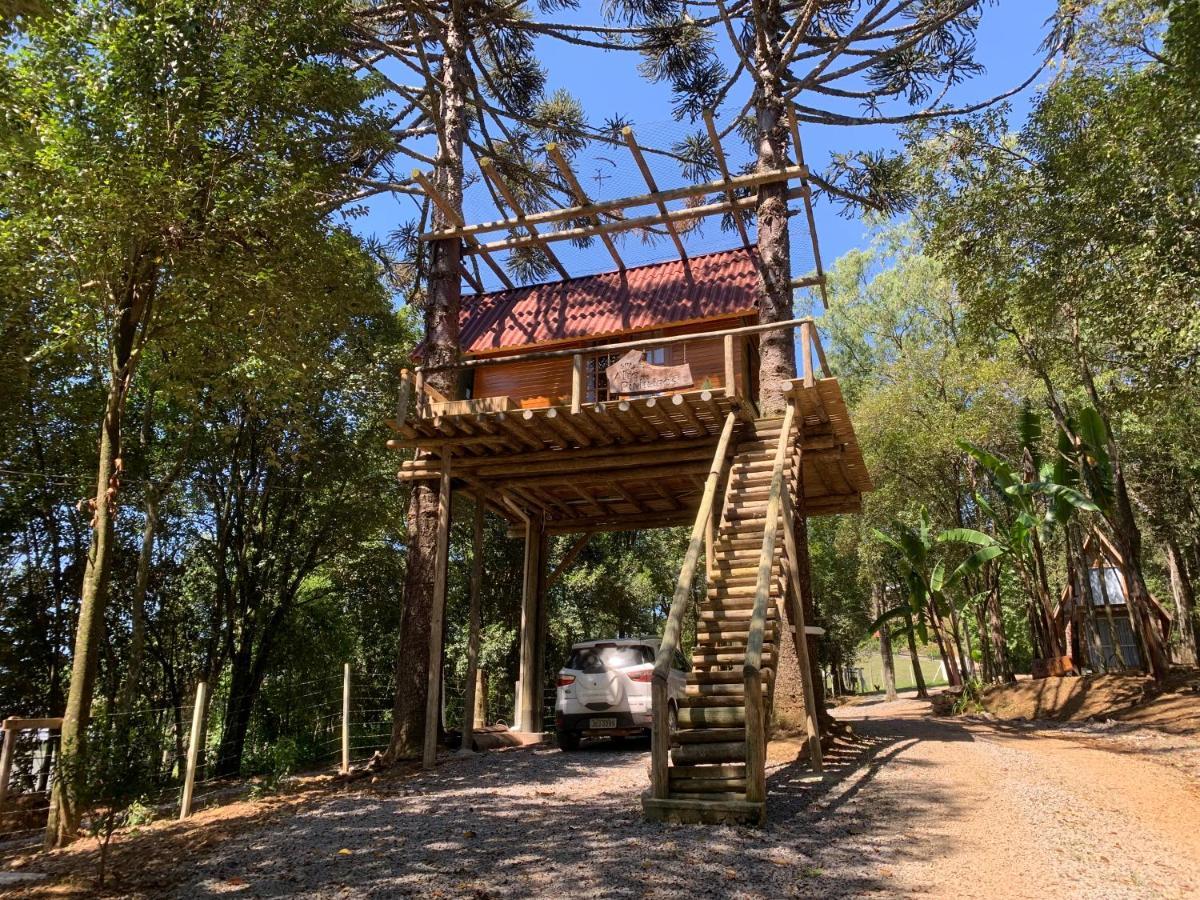 Casa Na Arvore Com Hidro, Piscina, Trilha, Cavalo Bento Gonçalves Exterior foto