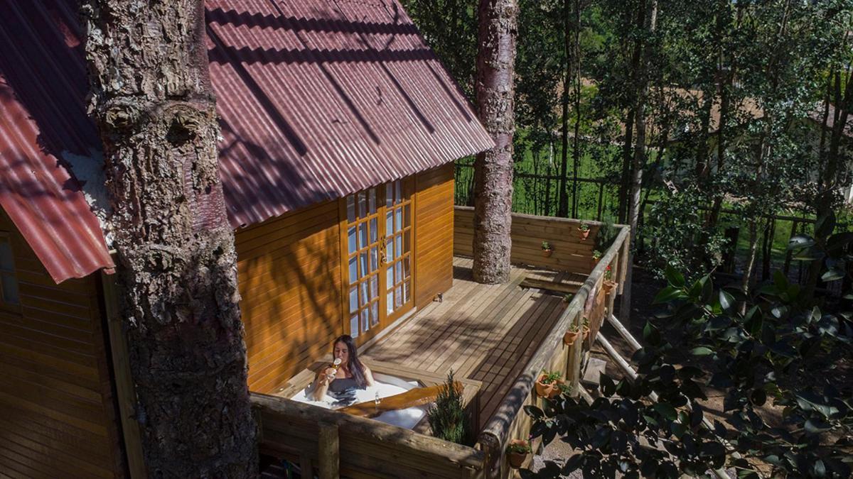 Casa Na Arvore Com Hidro, Piscina, Trilha, Cavalo Bento Gonçalves Exterior foto