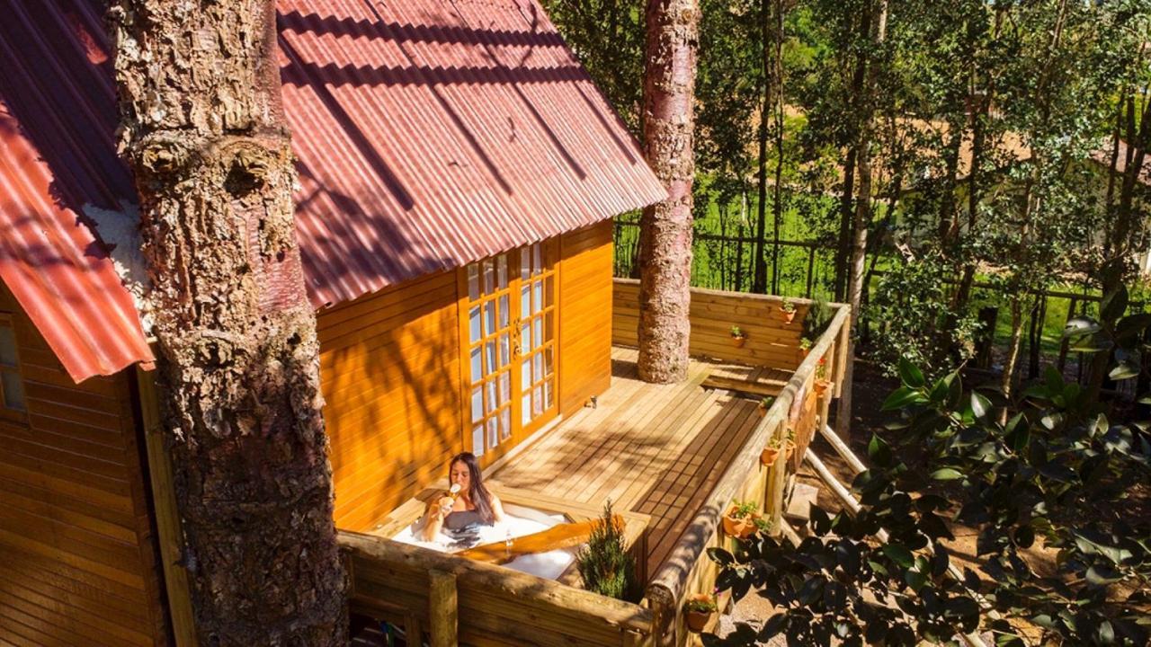 Casa Na Arvore Com Hidro, Piscina, Trilha, Cavalo Bento Gonçalves Exterior foto
