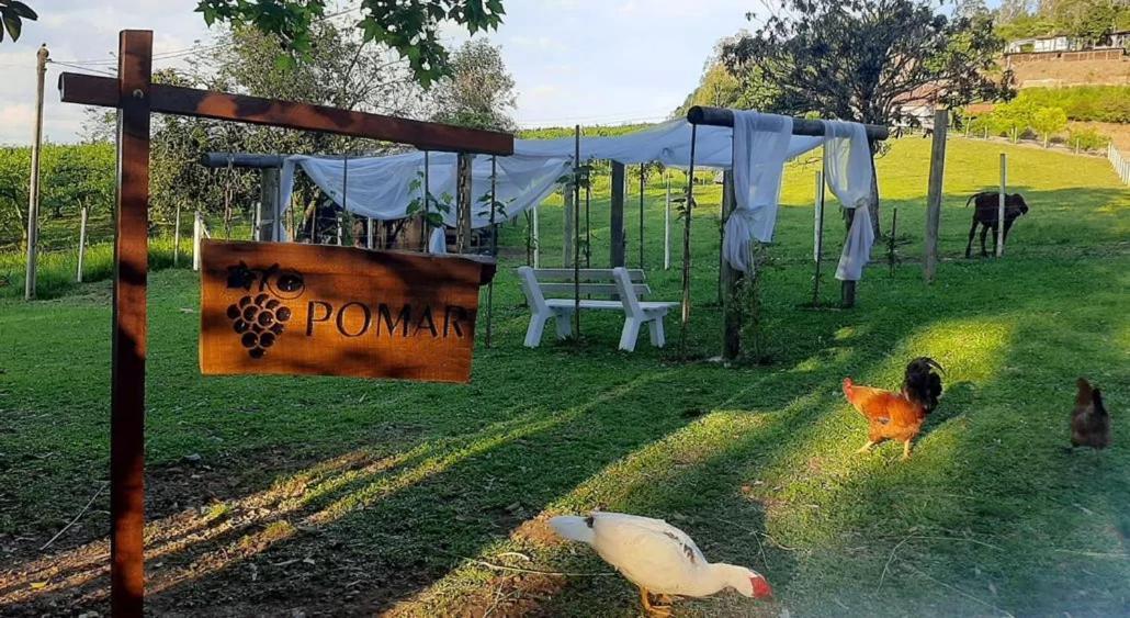 Casa Na Arvore Com Hidro, Piscina, Trilha, Cavalo Bento Gonçalves Exterior foto
