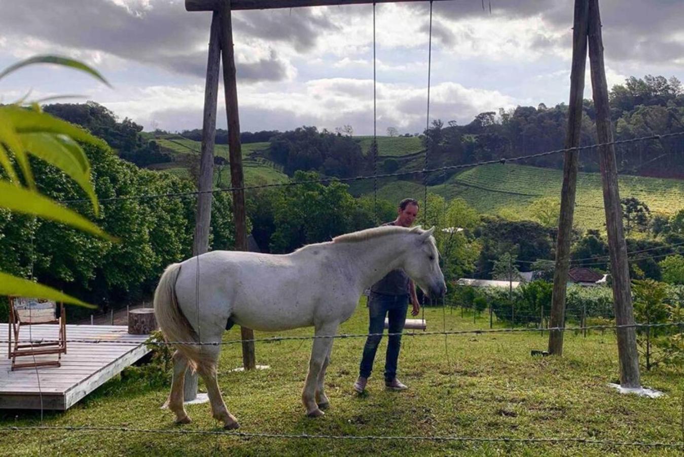Casa Na Arvore Com Hidro, Piscina, Trilha, Cavalo Bento Gonçalves Exterior foto