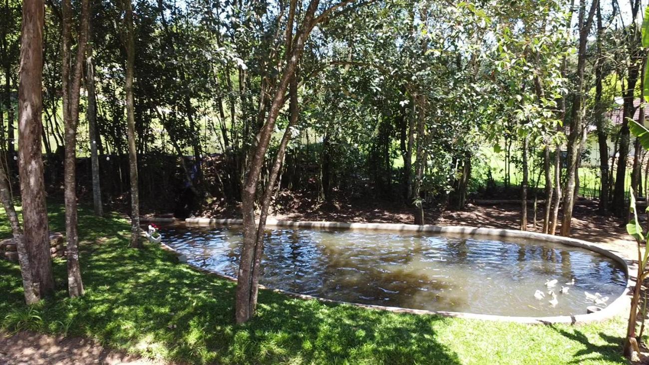 Casa Na Arvore Com Hidro, Piscina, Trilha, Cavalo Bento Gonçalves Exterior foto